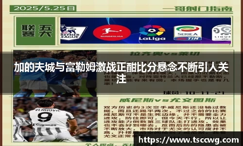 加的夫城与富勒姆激战正酣比分悬念不断引人关注